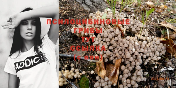 прущая мука Кодинск