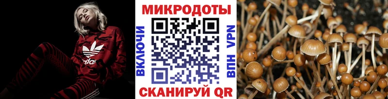 Купить где  Вытегра  Галлюциногенные грибы Psilocybine cubensis 